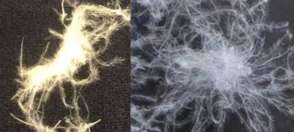 羽绒服加工 羽绒服加工