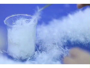 羽绒需要选择吃草的鹅才正确？