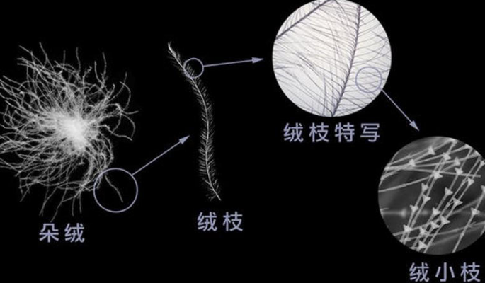 羽绒被企业